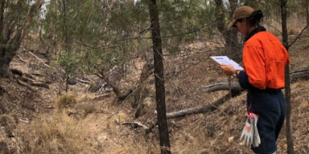 Environmental Reporting and Compliance Readiness
